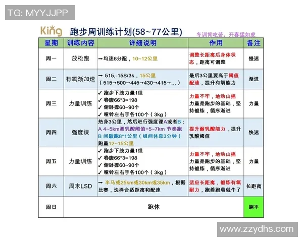 全面提升力量与耐力的哑铃健身计划助你塑造完美身材与健康生活